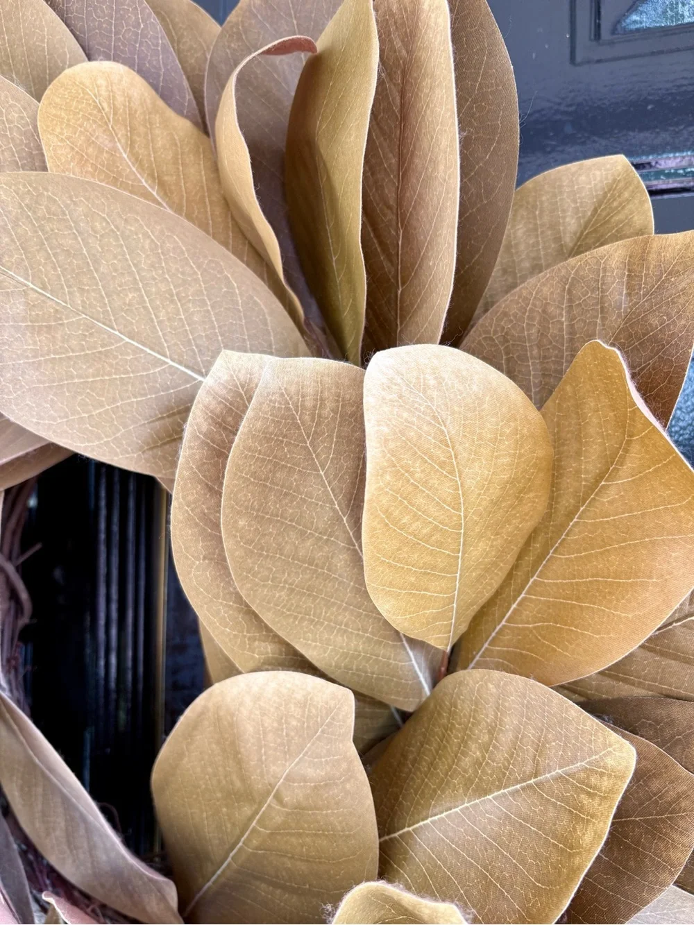 Magnolia Leaf Wreath in Golden Brown